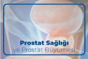Prostat Sağlığı ve Prostat Büyümesi